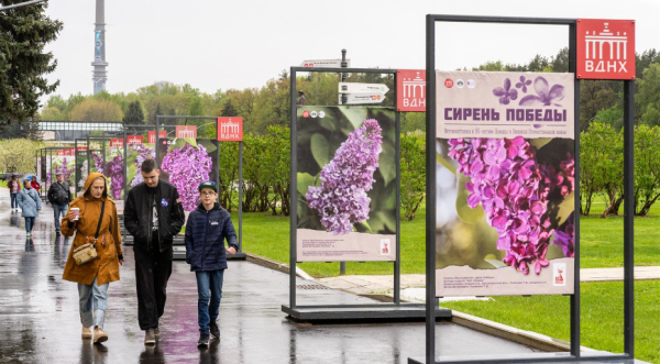 Интересные лекции и красивые выставки по садоводству в мае 2025 года